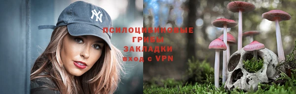 МДПВ Заволжье
