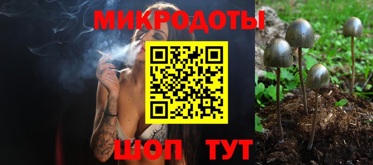Псилоцибиновые грибы мицелий Зеленокумск